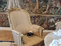 becov 50